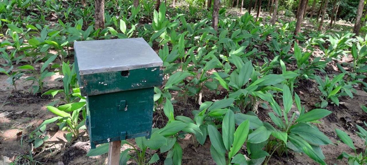 Krishi Vigyan Kendra, Nabarangpur