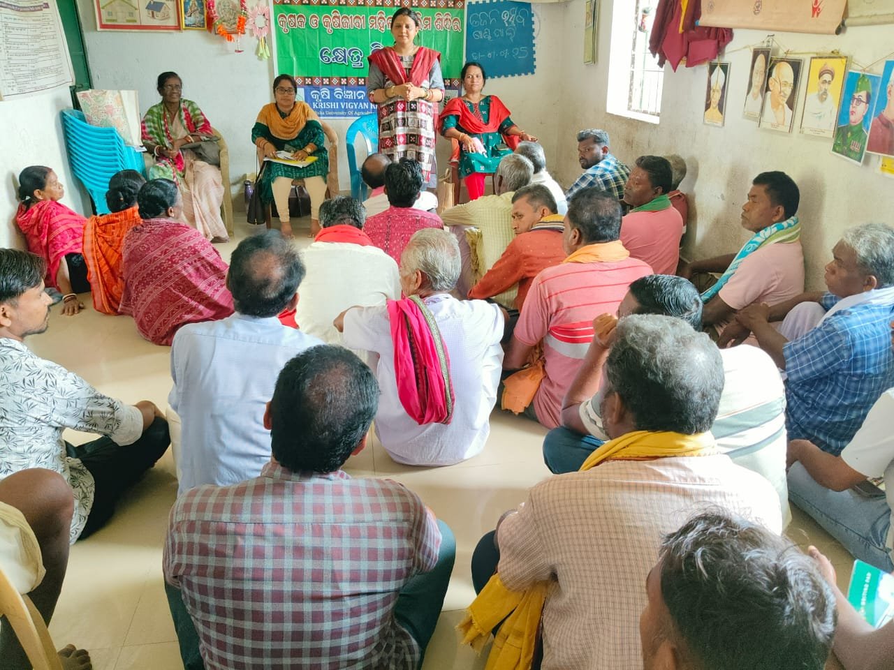 Nutrient management in rice