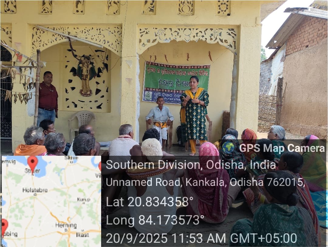 Integrated weed management in rice