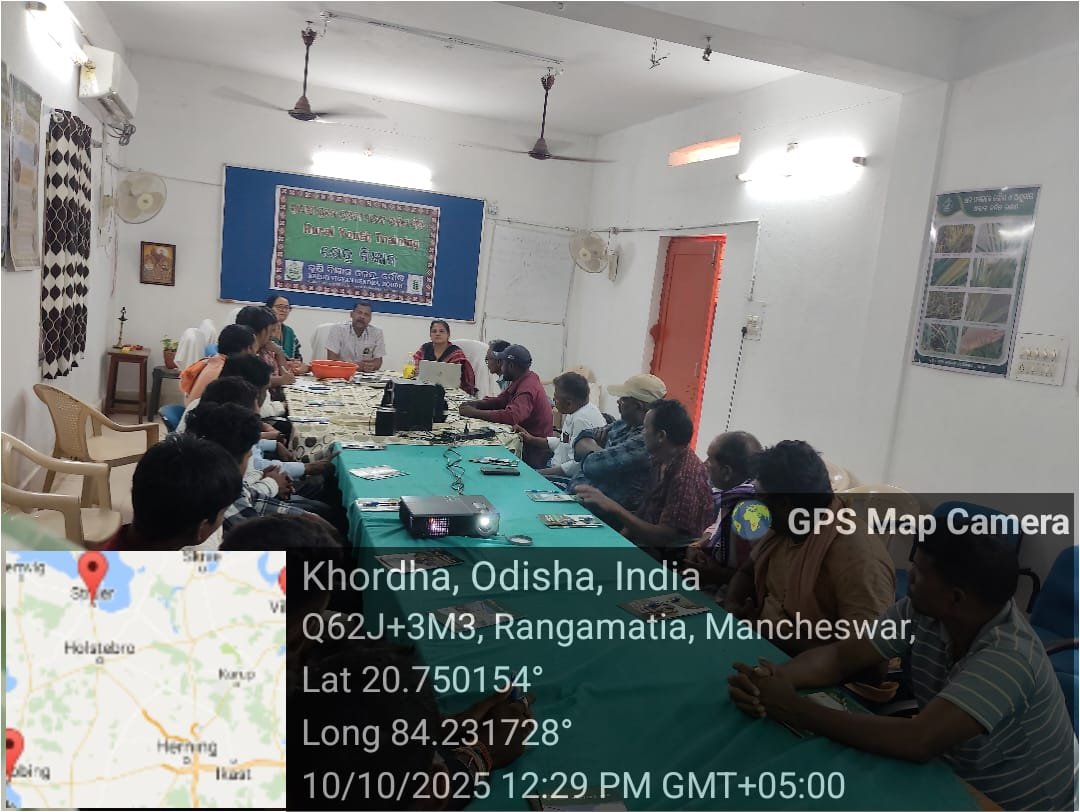 Biofertilizer Application: Enhancing Soil Health and Crop Productivity 