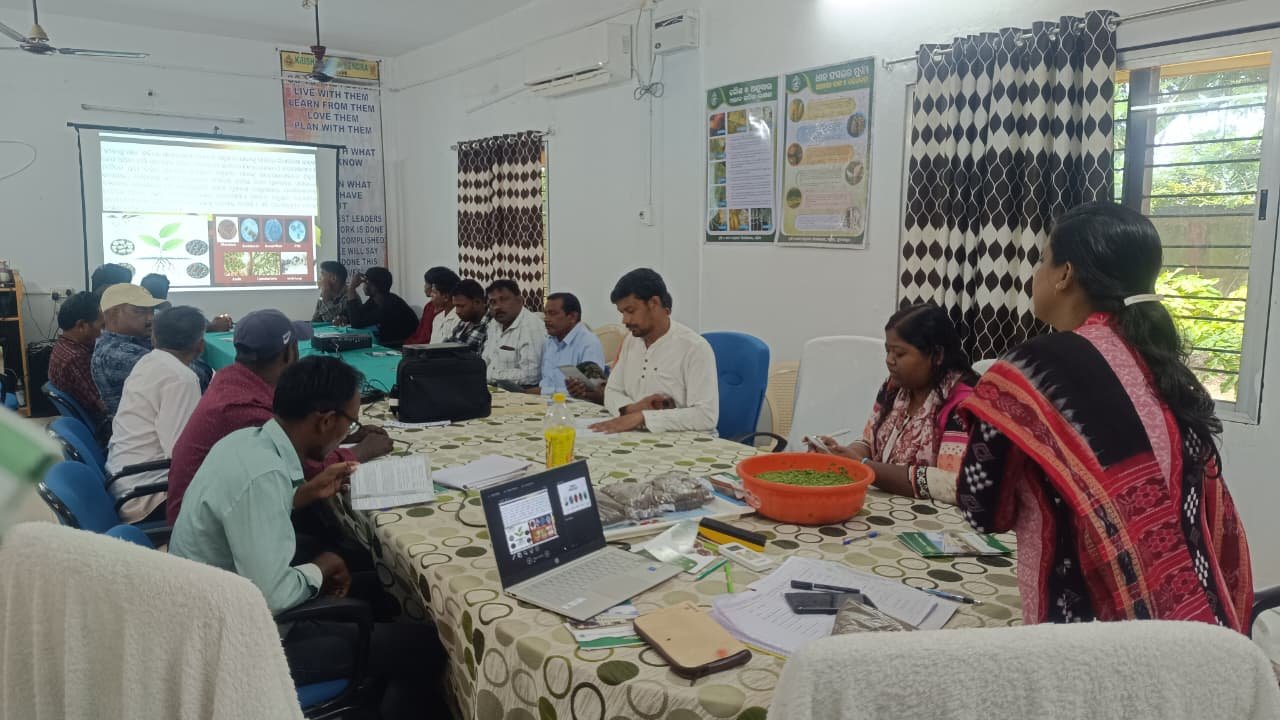 Biofertilizer Application: Enhancing Soil Health and Crop Productivity 