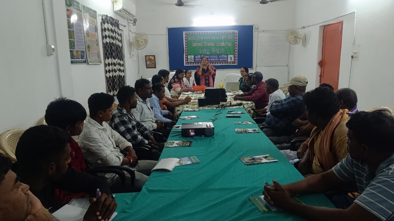 Biofertilizer Application: Enhancing Soil Health and Crop Productivity 