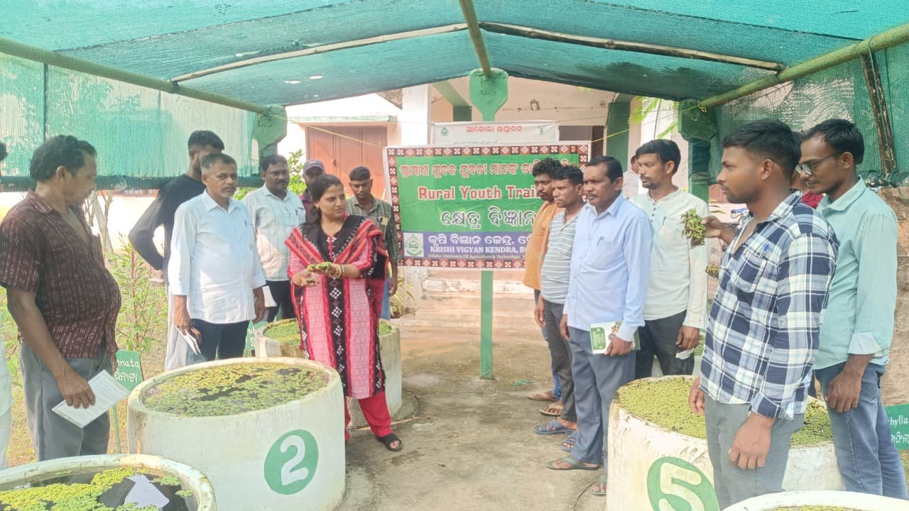 Biofertilizer Application: Enhancing Soil Health and Crop Productivity 