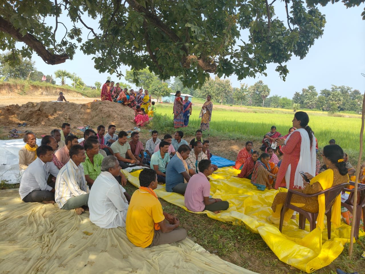 Improved package of practices of pulse production