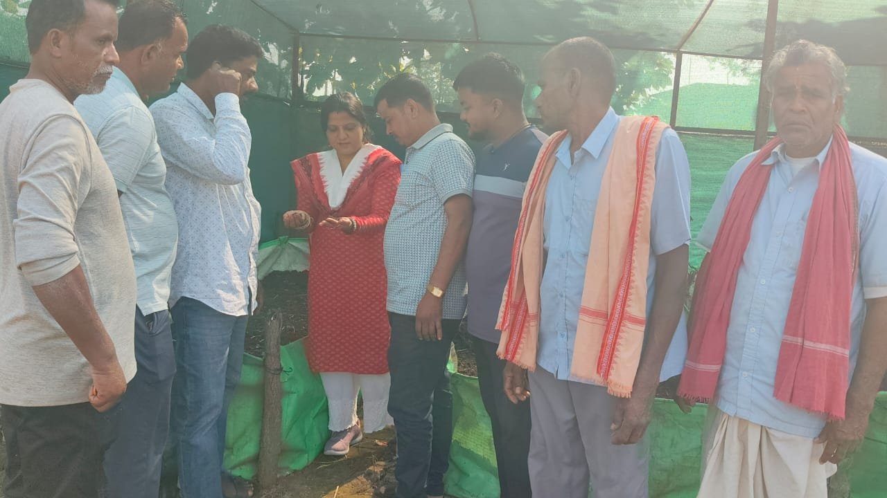 Vermicomposting for Sustainable Agriculture and Waste Management