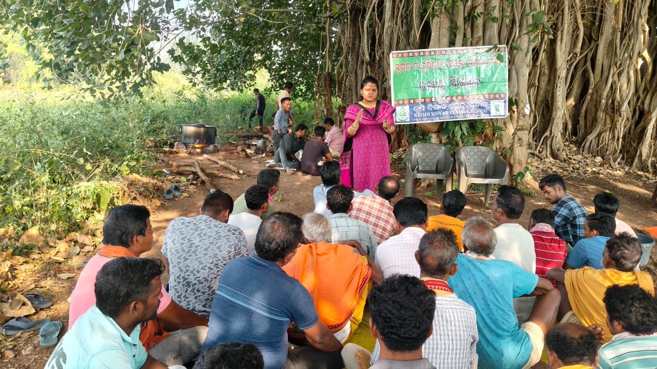 Improved package of practices of groundnut