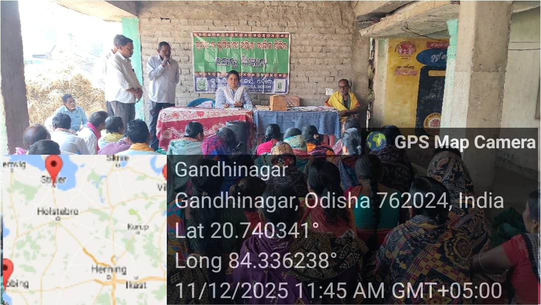 Integrated crop management in sesame 