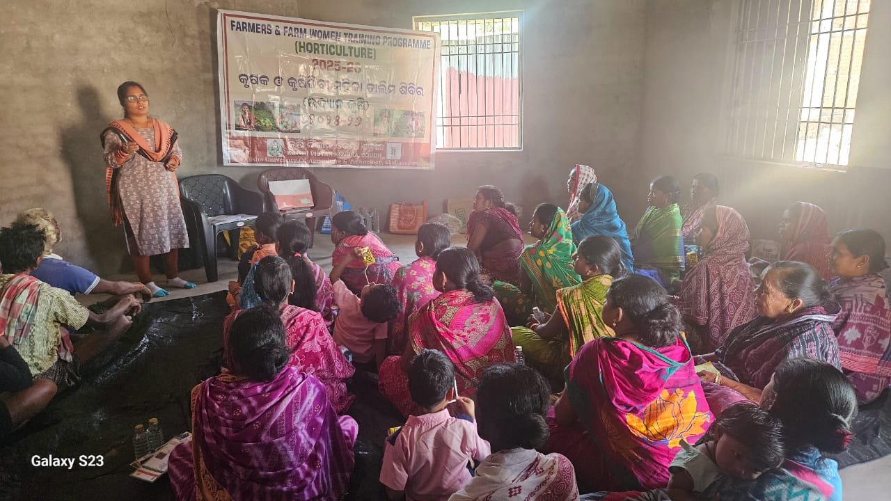 Training on marigold farming