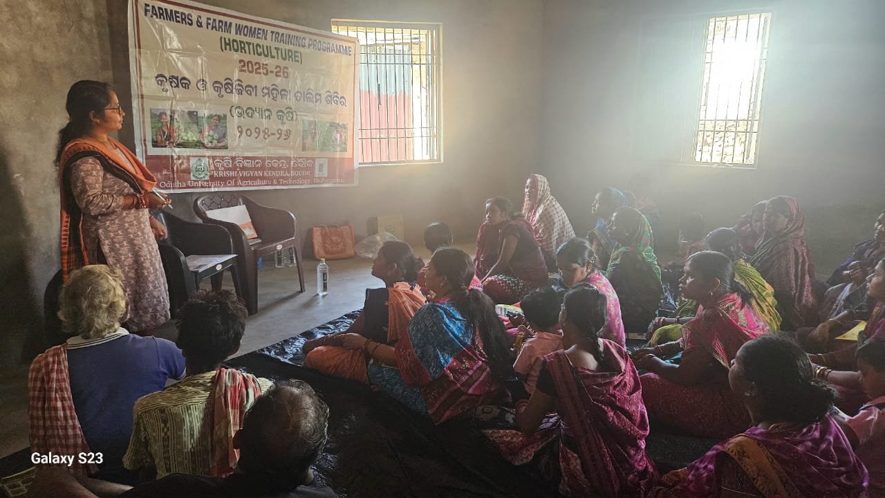 Training on marigold farming