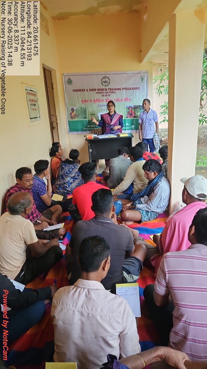 Nursery raising in vegetable crops