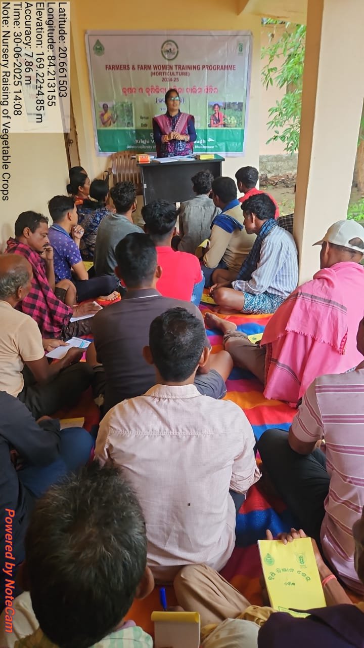 Nursery raising in vegetable crops