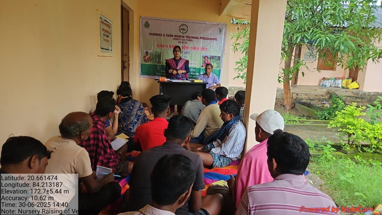 Nursery raising in vegetable crops