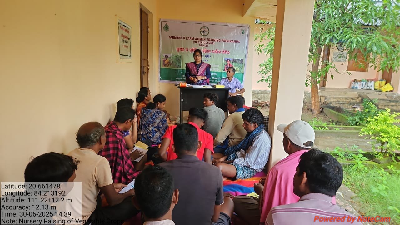 Nursery raising in vegetable crops