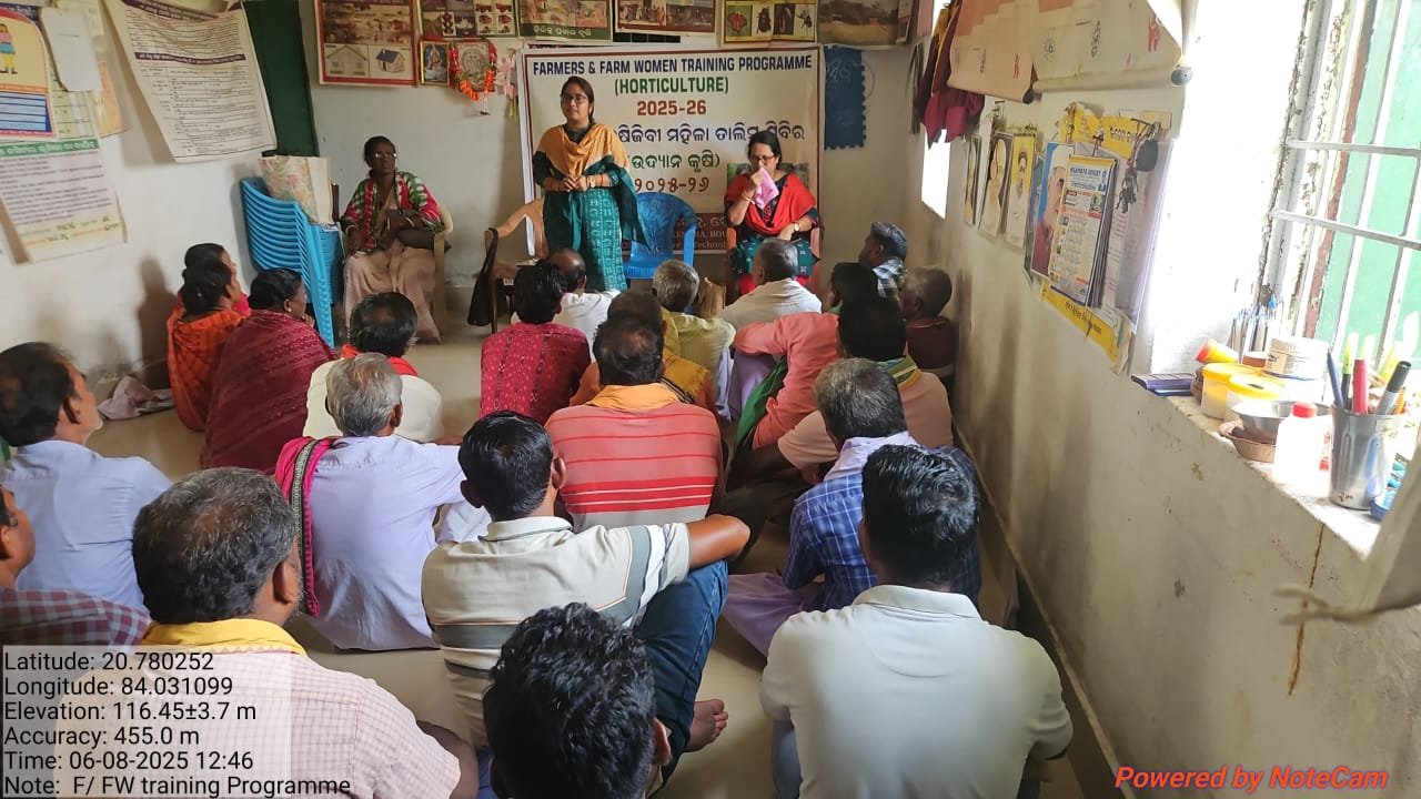 Zero budget natural farming in vegetable crop