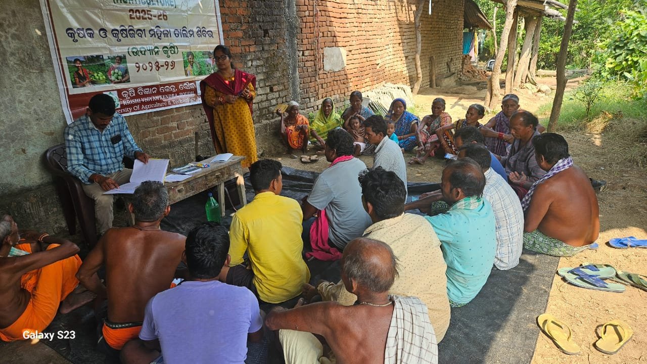 Use of Plant Growth Regulators in vegetable crop