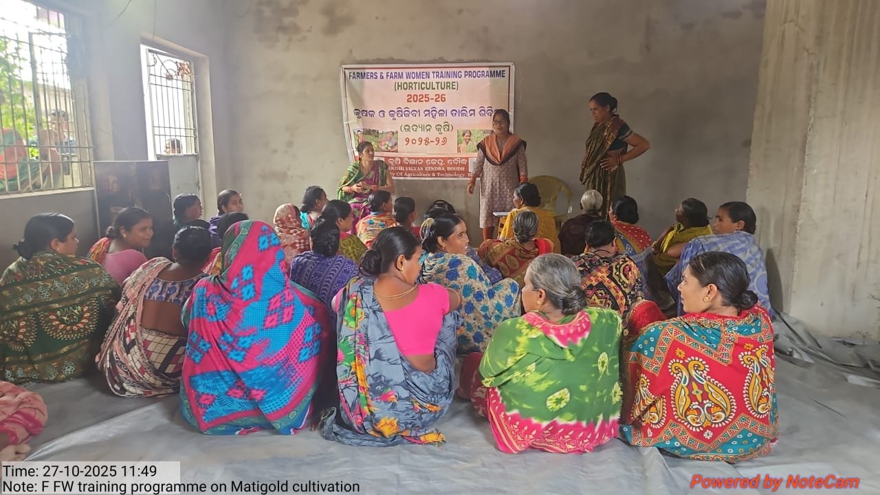 Training on Chrysanthemum farming