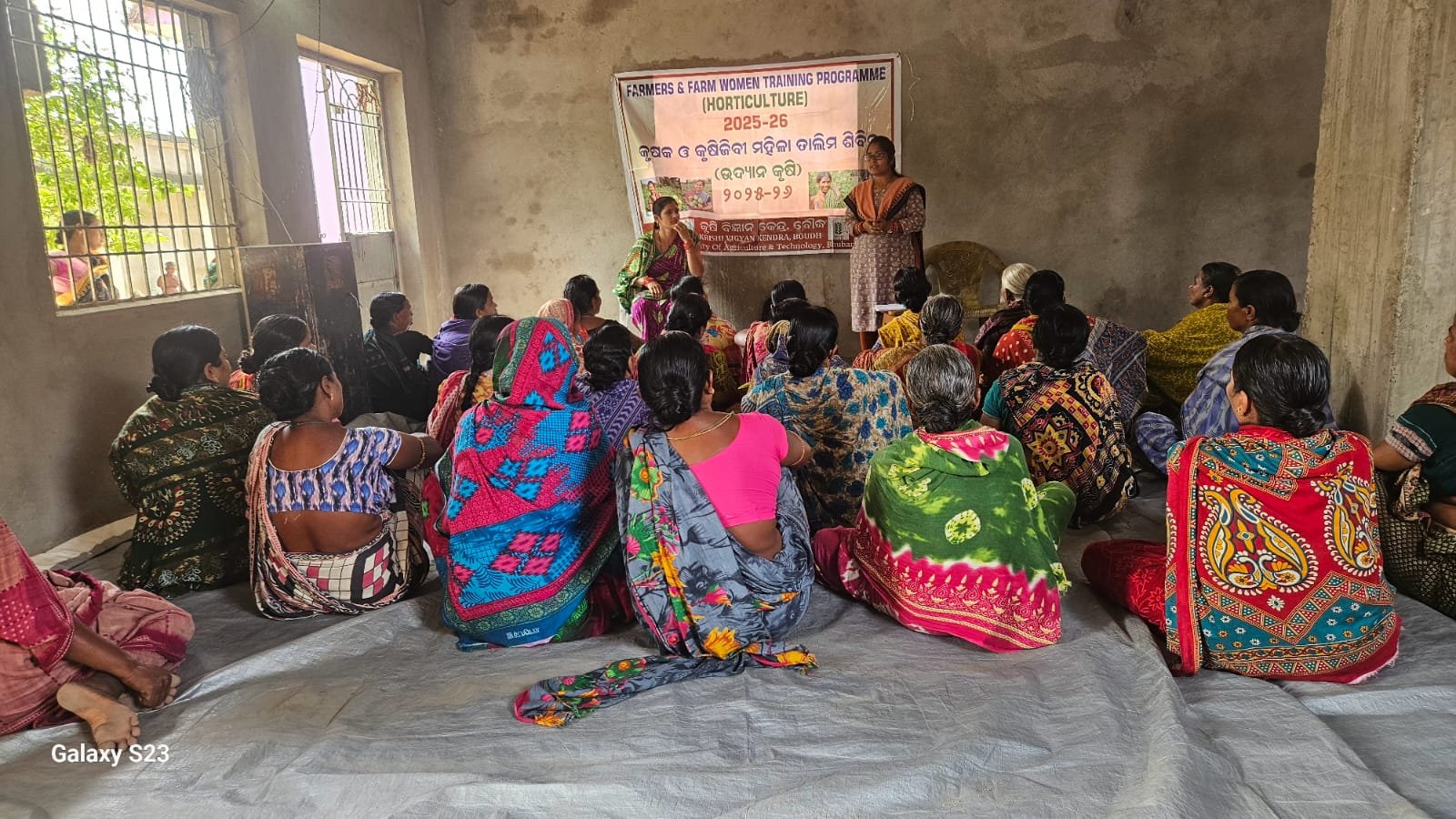 Training on Chrysanthemum farming