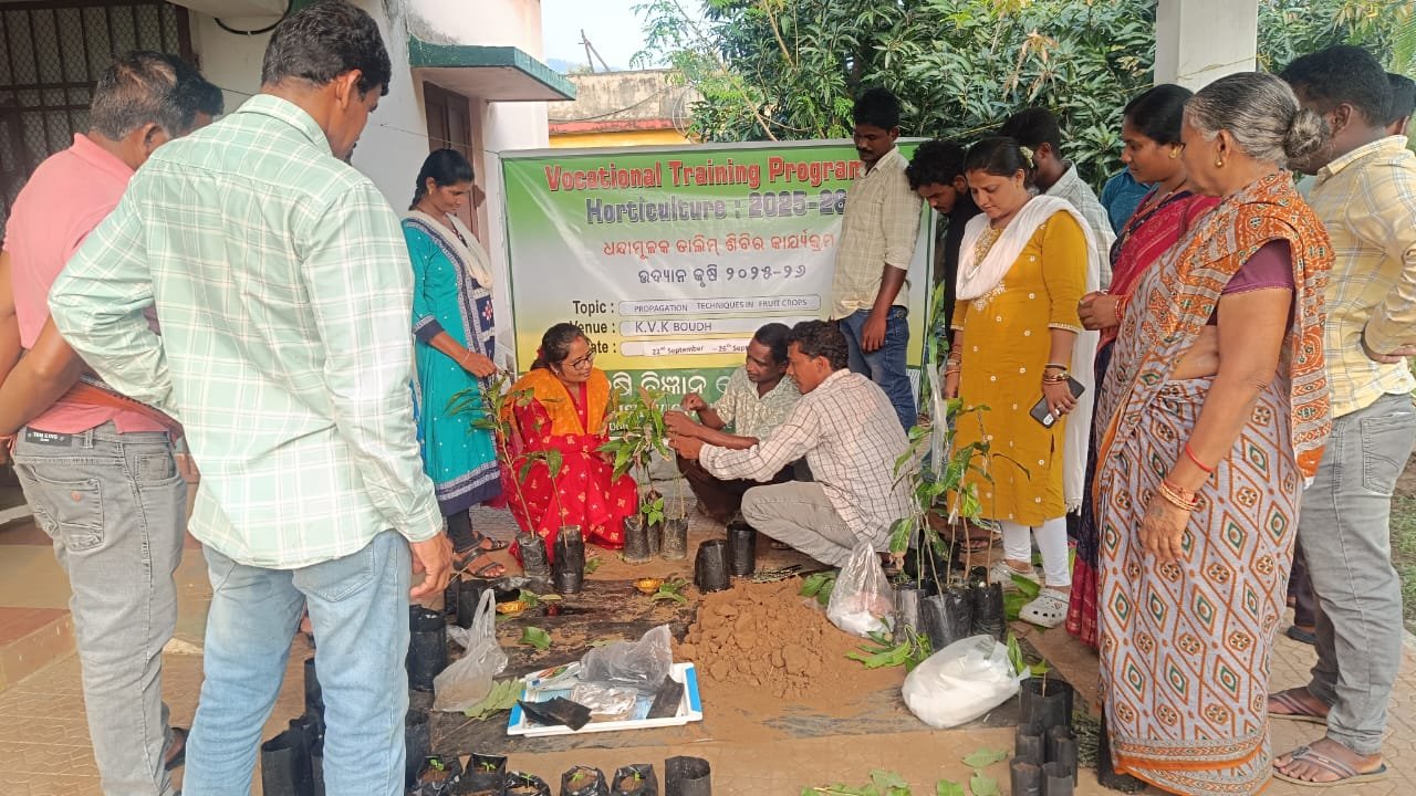 Propagation techniques in fruit crops