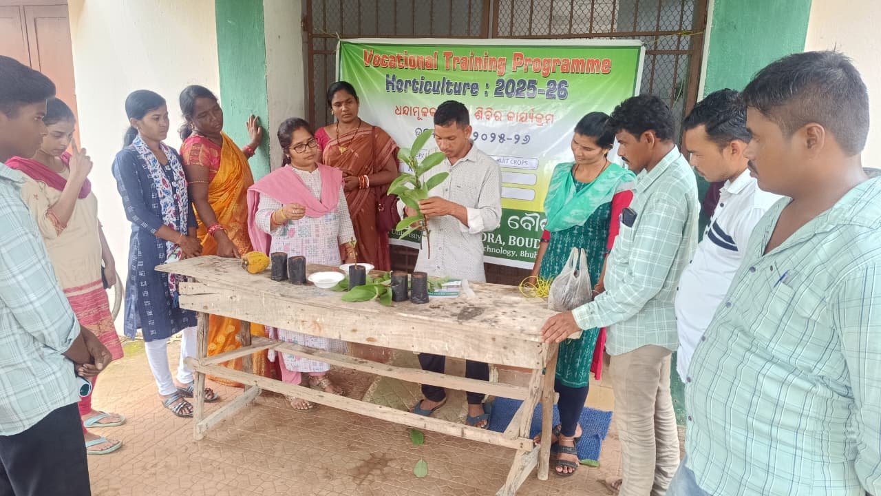 Propagation techniques in fruit crops