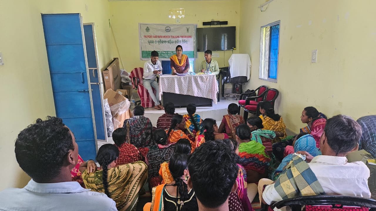 Agro-techniques of Kharif/Rabi Onion cultivation