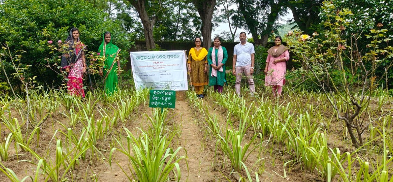 Krishi Vigyan Kendra Boudh