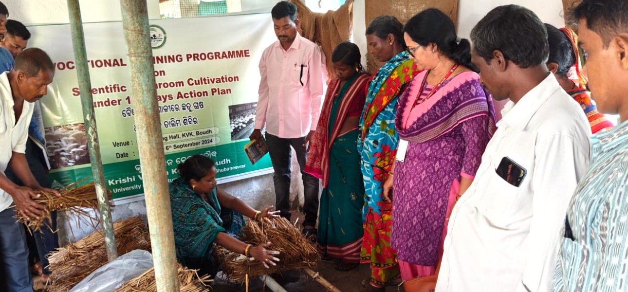 Krishi Vigyan Kendra Boudh