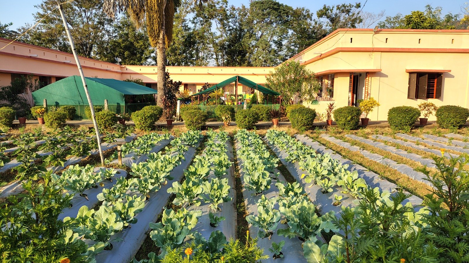Krishi Vigyan Kendra Boudh